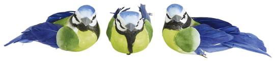 Blue Tit Dark Blue Bird Clip