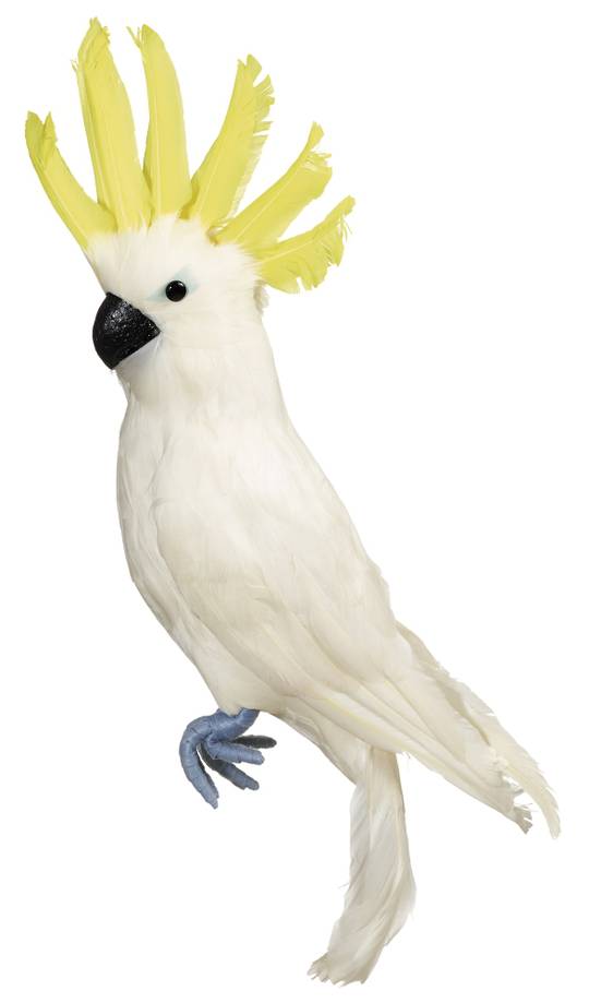 Cockatoo 52cm SOLD OUT