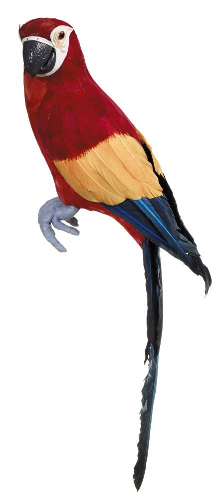 Macaw Red 44cm SOLD OUT