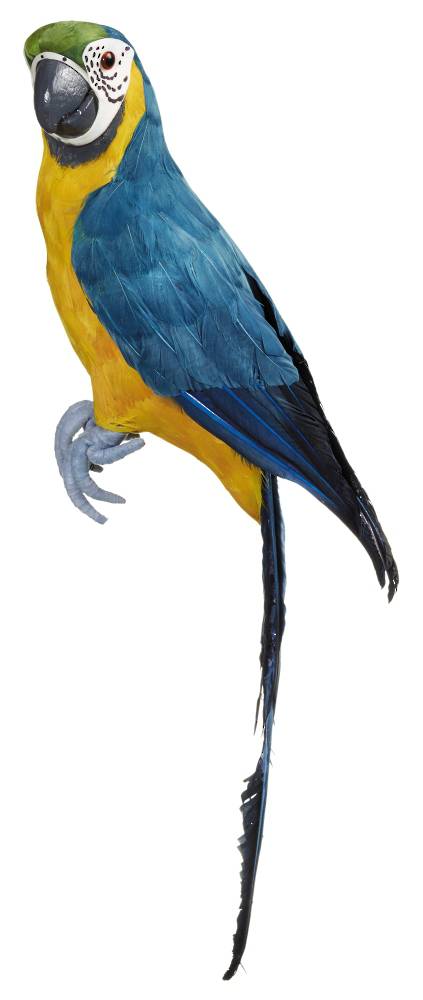 Macaw Blue 66cm SOLD OUT