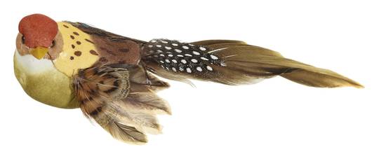 Sparrow Bird Clip 14cm