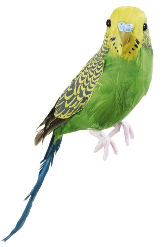 Budgerigar Green/Yellow 20cm