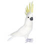 Feather Cockatoo 40cm SOLD OUT