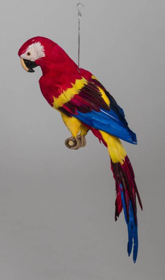 Red Macaw 68cm