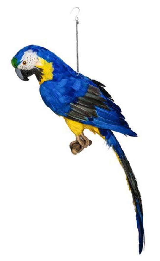 Blue Macaw 68cm