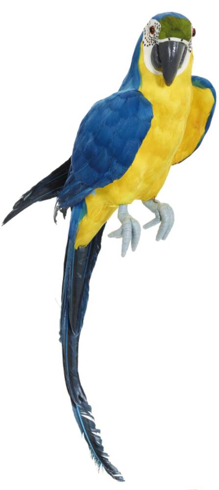Blue Macaw 85cm